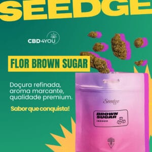 Arte informativa de CBD criada pela Ciclicko