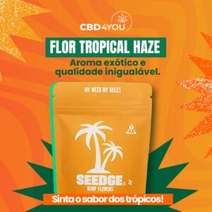 Criativo educativo sobre CBD da Ciclicko