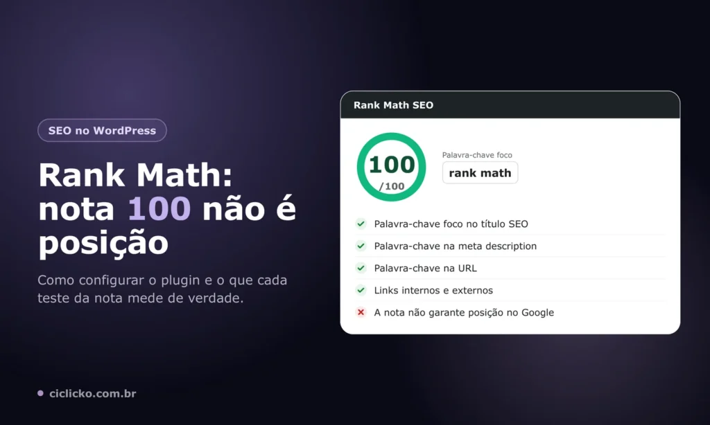 Painel do plugin Rank Math com nota 100 de 100 e a lista de testes de SEO da página